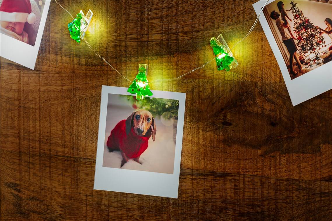Goobay 10er LED-Fotoclips-Lichterkette "Tannenbaum" mit Timer-Funktion, warmweiß (3000 K), batteriebetrieben-4