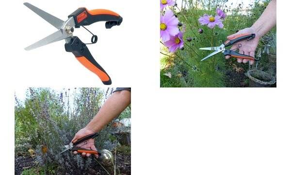 Garten PRIMUS Stauden- & Kräuterschere, Länge: 231 mm-1