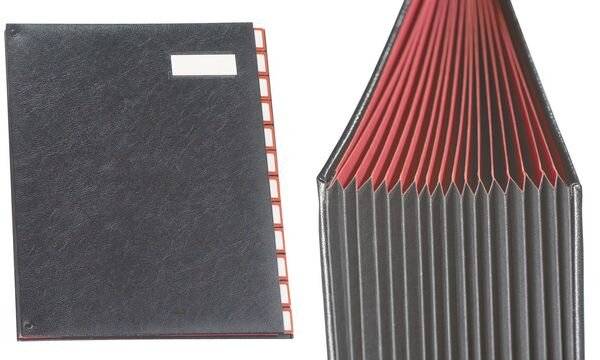 extendos Ordnungsmappe Serie 97, 12 Fächer, mit Taben (335282000)-1