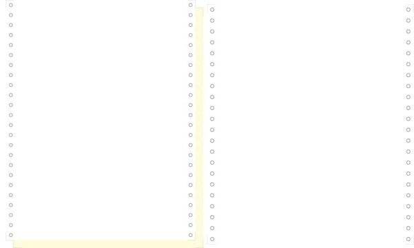 EXACOMPTA Computerpapier endlos, 240 mm x 12" (30,48 cm) (8701105)-1