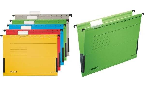 LEITZ ALPHA Hängetasche, A4, mit Fröschen, grau (80198685)