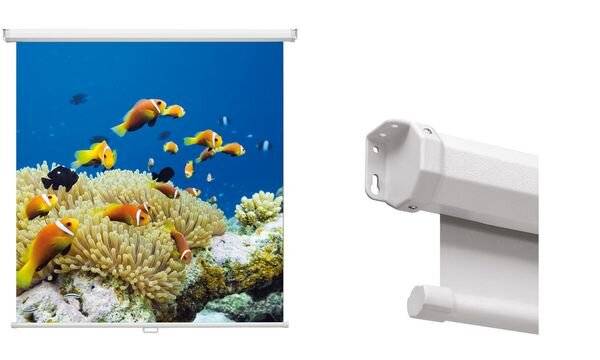 magnetoplan Rollo-Leinwand, (B)1.800 x (H)1.800 mm (70000844)