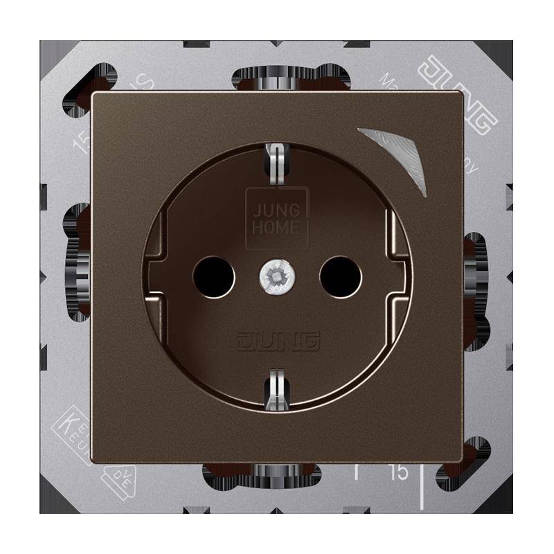 Jung SCHUKO Steckdose BT A 1521 SE MO-0