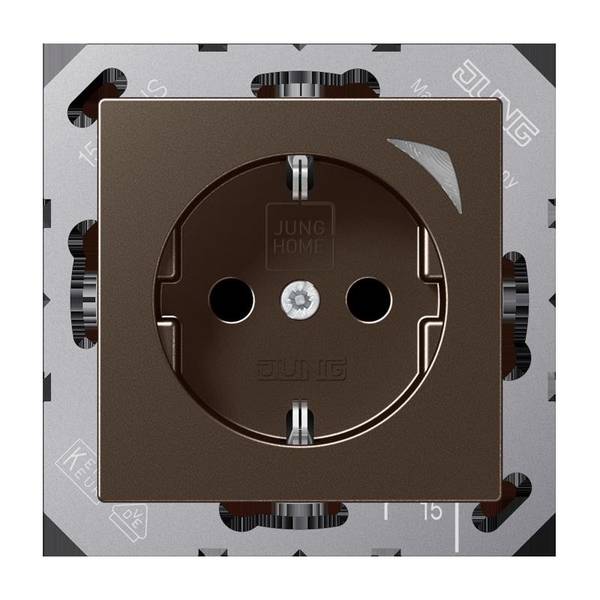 Jung SCHUKO Steckdose BT A 1521 SE MO