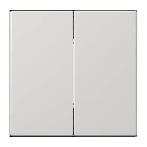 Jung Funk-Wandsender FOH LS 995 LG