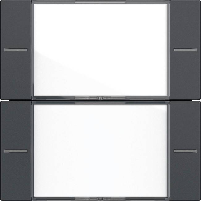 Gira Wippenset 2-fach BSF Tastsensor Anthrazit 577228-0