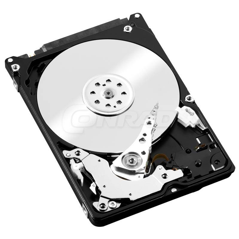 Western Digital   Interne Festplatte 6.35 cm (2.5 Zoll)-1