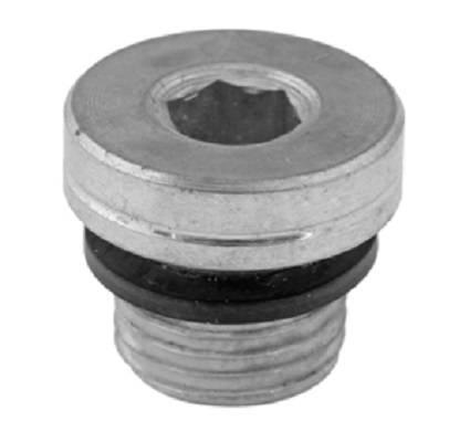 Verschlussschraube mit Elastomerdichtung (zöllig), STV G 1/8“, 400 bar-0