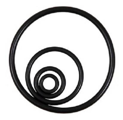 O-Ring für SAE- Flansch, Bio- Hydrauliköl 3 Zoll FKM-0
