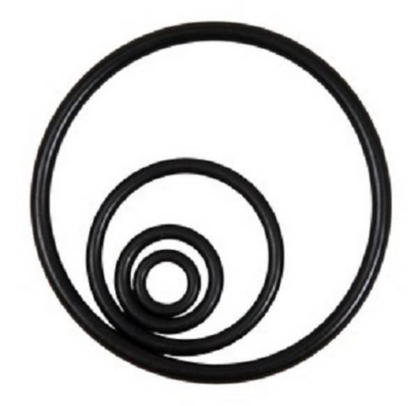 O-Ring für SAE- Flansch, Bio- Hydrauliköl 3 Zoll FKM
