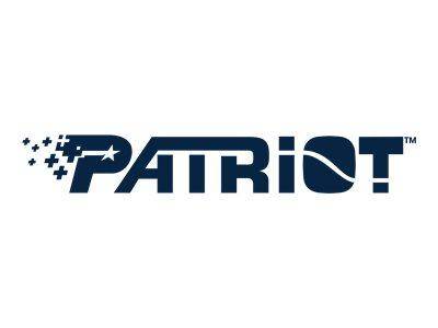 Patriot P210 - SSD - 256 GB - intern - 2.5"" (6.4 cm)-2