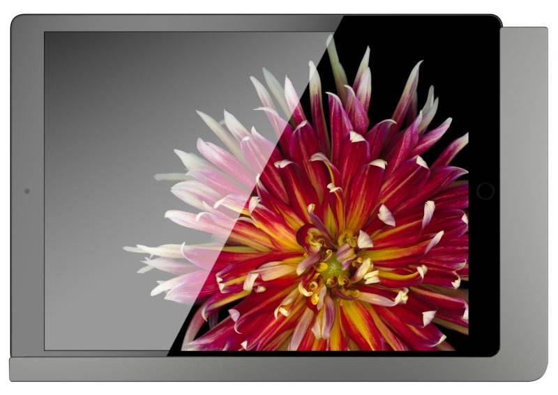 Viveroo iPad Wandhalterung 510161PD-2