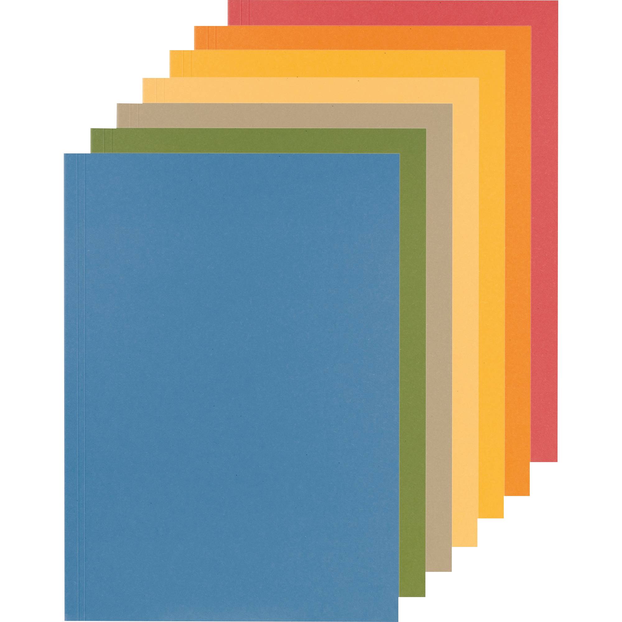 Aktendeckel 23x31,8cm 250g or 100 St./Pack.-2