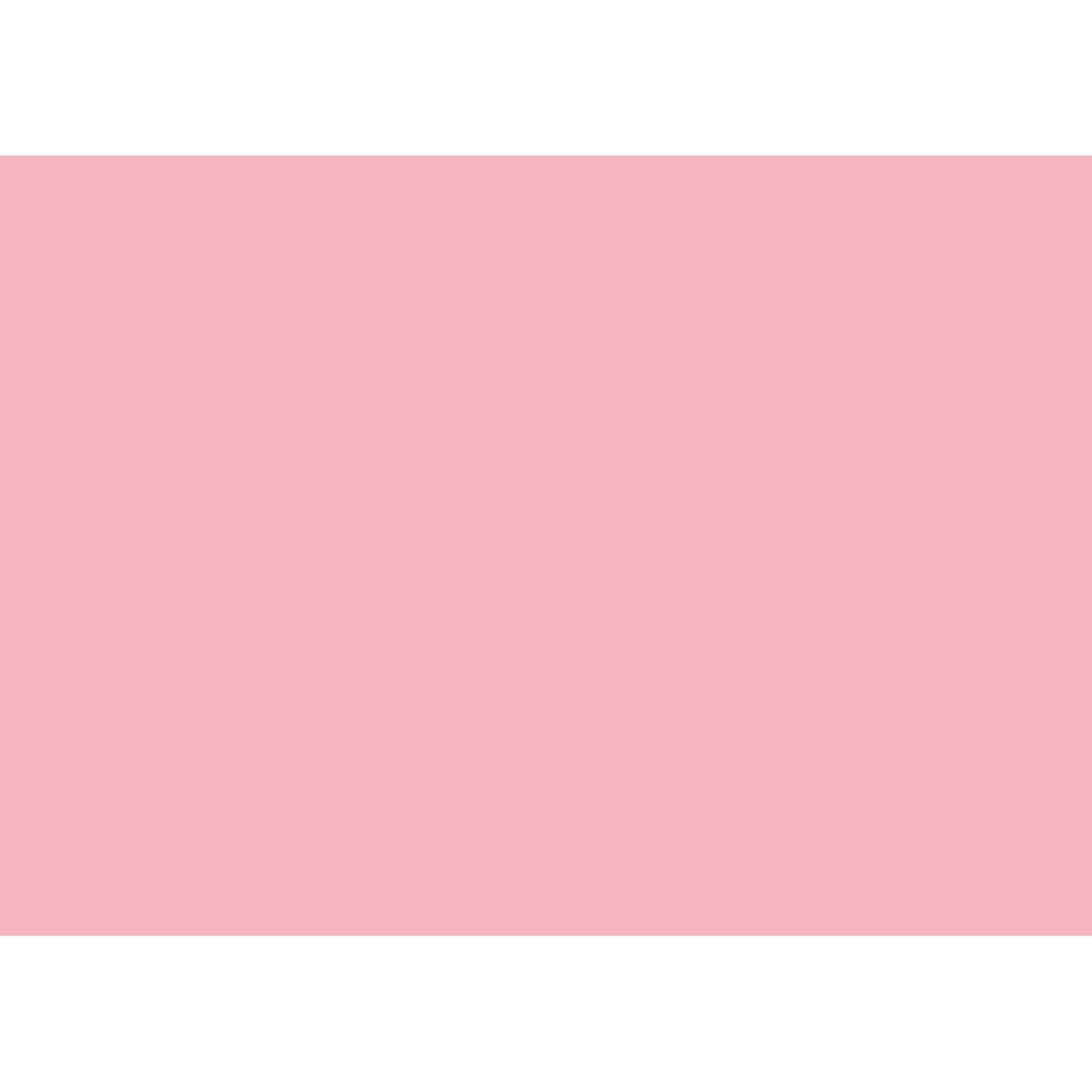 Tonpapier 50x70cm 130g rosa 25 St./Pack.-0