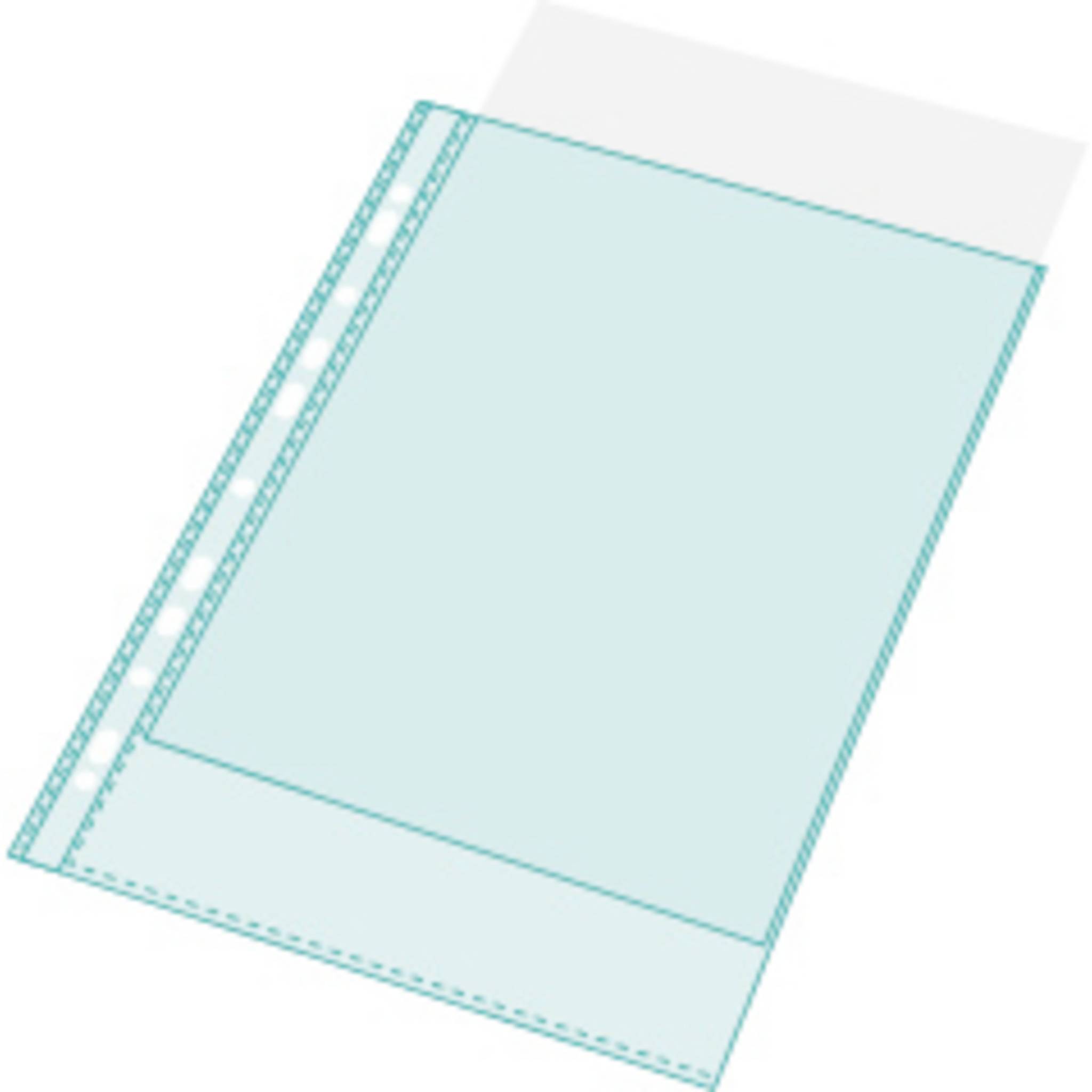 Exacompta Pack 100 Prospekthüllen gelocht glattem PVC 80µ A4 hoch Kristall 3194E-4