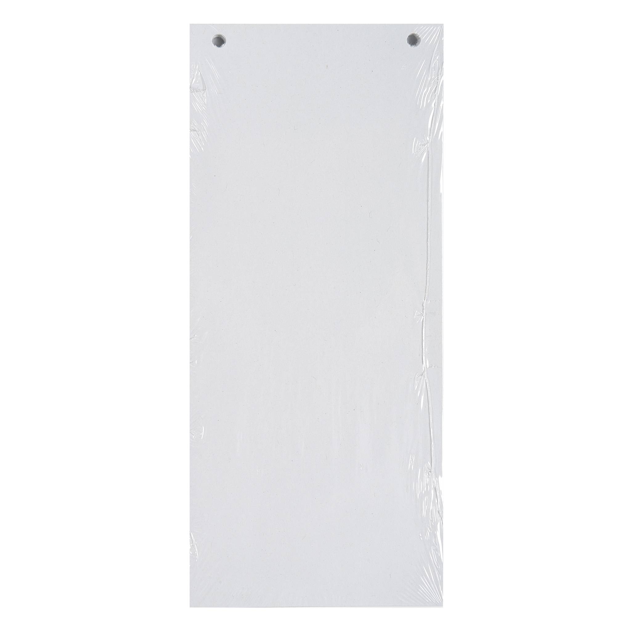 Exacompta 12x 100 Trennstreifen 2-fach gelocht RC Kart 105x240mm Weiß 13405B-1