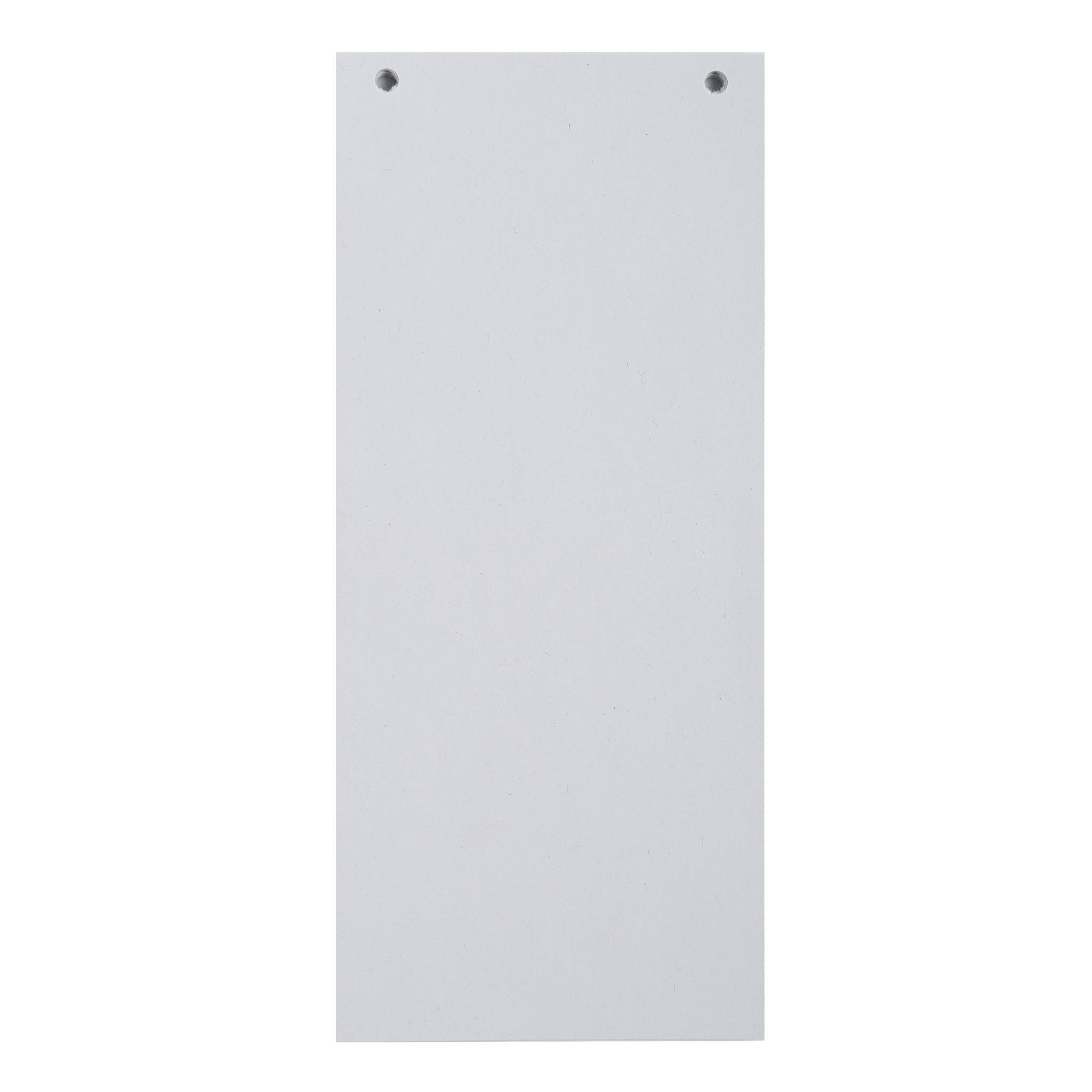 Exacompta 12x 100 Trennstreifen 2-fach gelocht RC Kart 105x240mm Weiß 13405B-2