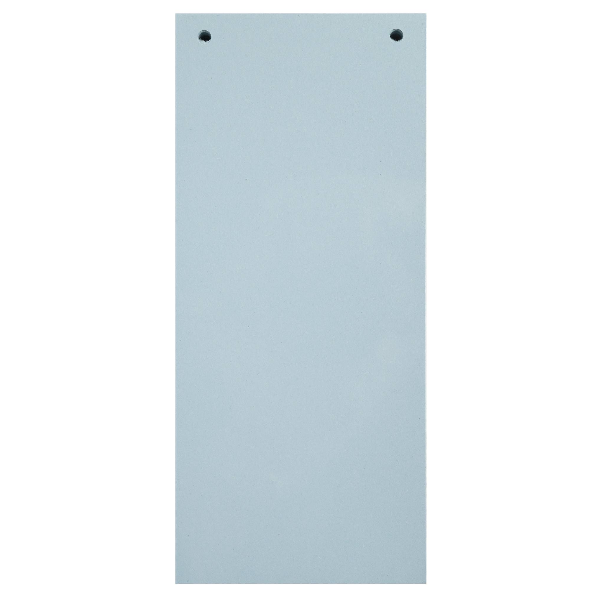 Exacompta 12x 100 Trennstreifen 2-fach gelocht RC Kart 105x240mm Hellblau 13415B-1