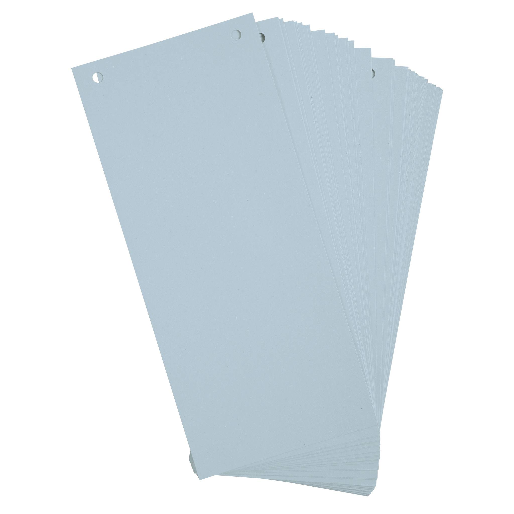 Exacompta 12x 100 Trennstreifen 2-fach gelocht RC Kart 105x240mm Hellblau 13415B-4