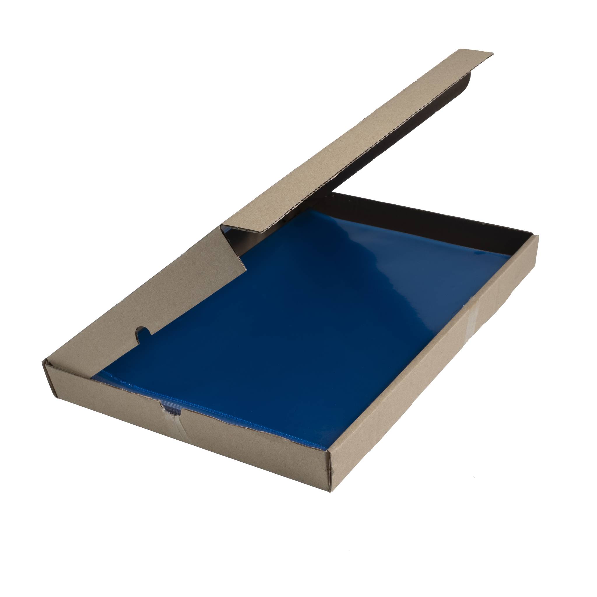 Exacompta Pack 100 Aktensichthüllen glattem festem PVC 130µ A4 sortiert 661200E-2