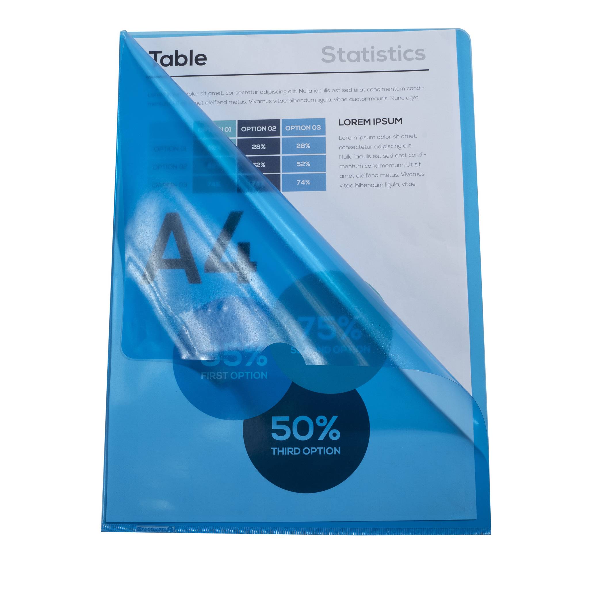 Exacompta Pack 100 Aktensichthüllen glattem festem PVC 130µ A4 sortiert 661200E-4