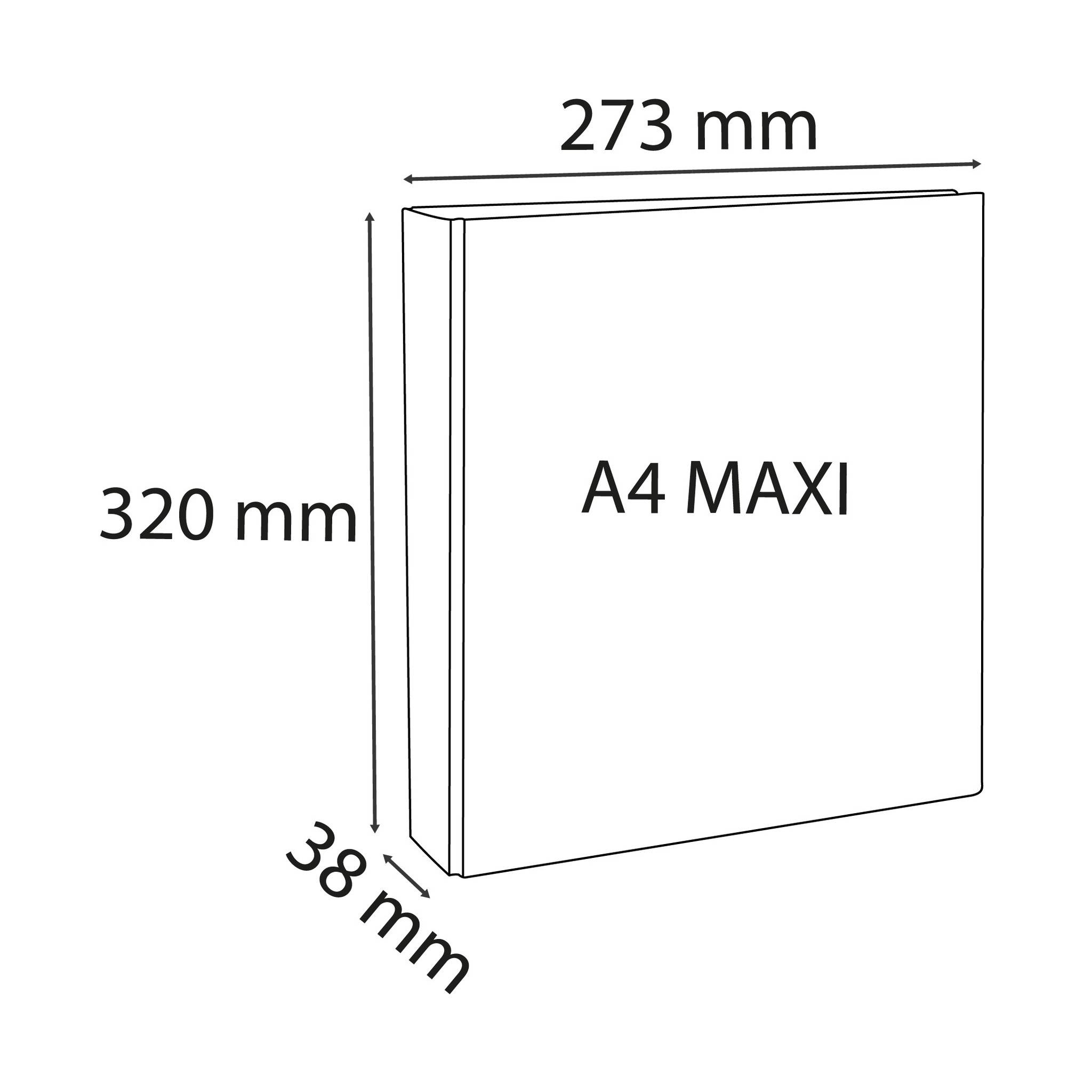 Exacompta 10x Ringhefter PP 19mm 2Ring 20mm D Rücken 38mm A4 Maxi Weiß 51921E-3