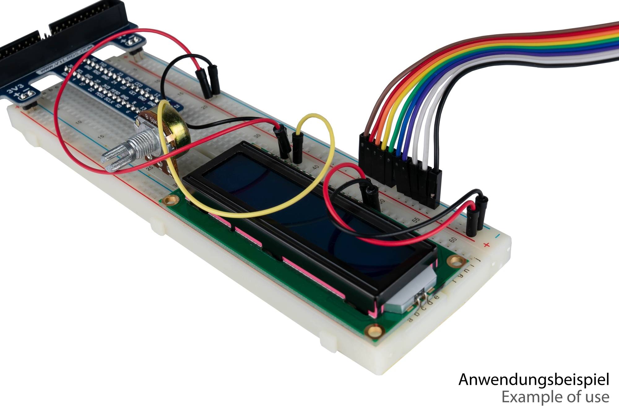 kabelmeister® Jumper Wire 40-Pin trennbare Adern für Arduino, Raspberry Pi etc., Buchse an Buchse, AWG28, 20cm-3