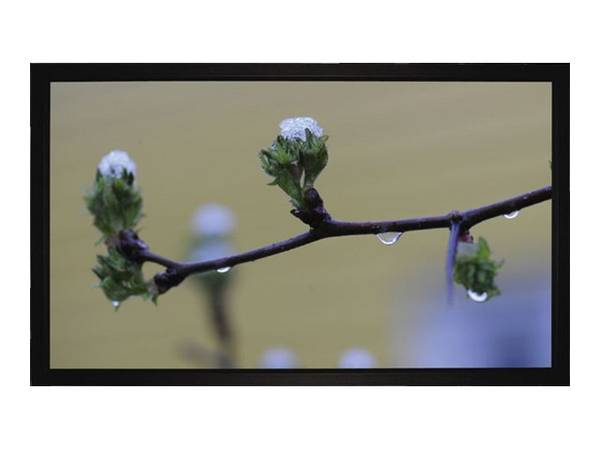 Medium Frame Budget type D - Leinwand - geeignet für Wandmontage - 200 cm (79")