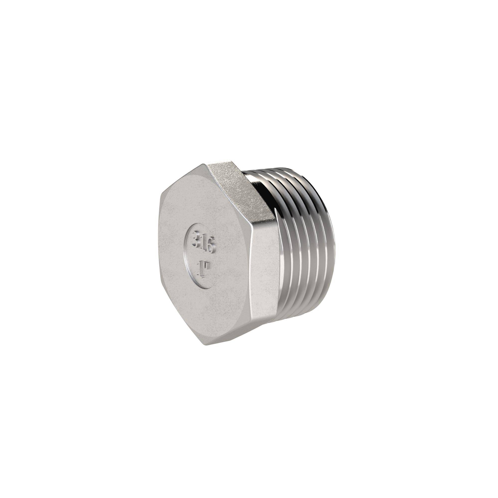 RIEGLER Verschlussstopfen, Sechskant, R 1 1/2, AG, SW 50, Arbeitsdruck max. 20 bar, ES 1.4408.-0