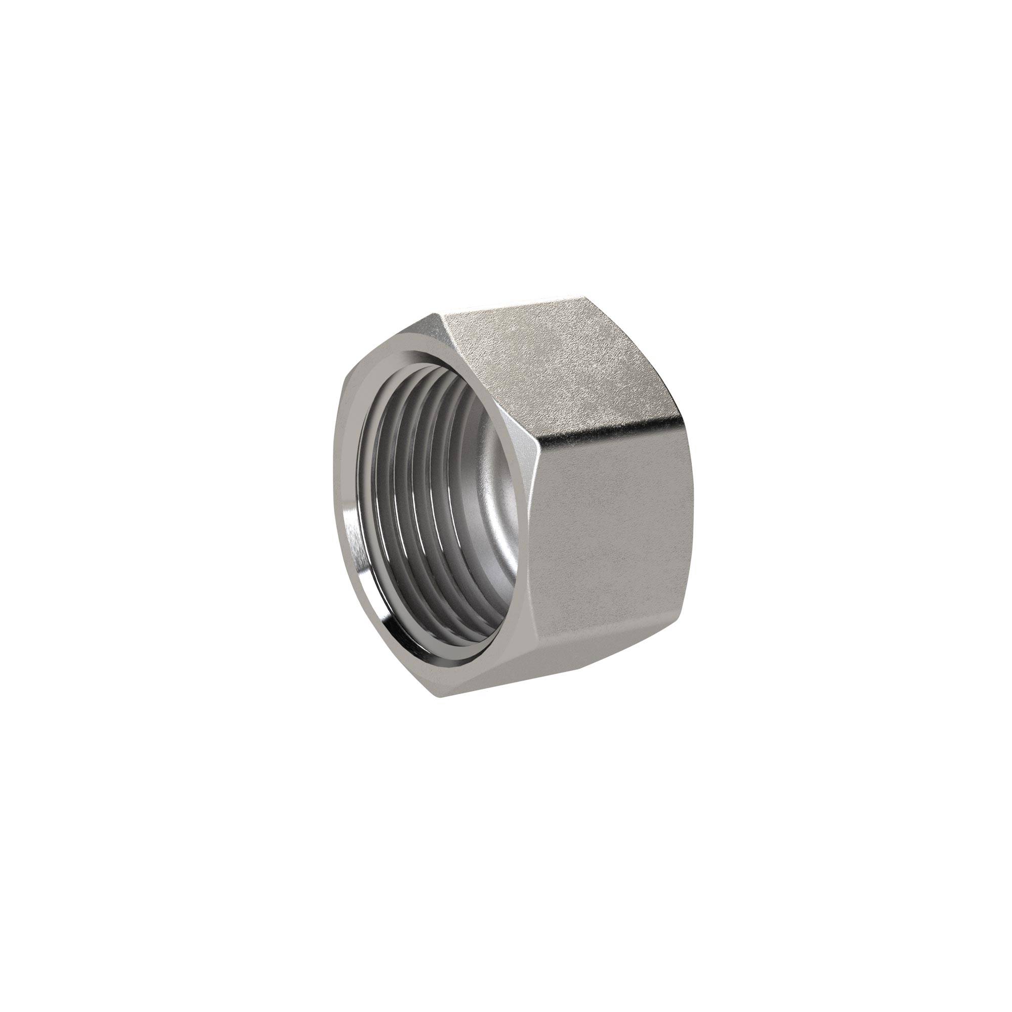 RIEGLER Verschlusskappe, Sechskant G 1/2, IG, SW 24, Arbeitsdruck max. 20 bar, ES 1.4408-0