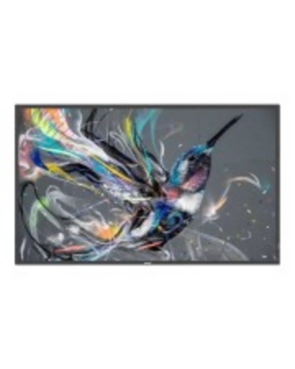 Philips 50BDL3511Q 127 cm 50" Diagonalklasse 125,7 49.5" sichtbar Q-Line LCD-Display mit LED-Hintergrundbeleuchtung