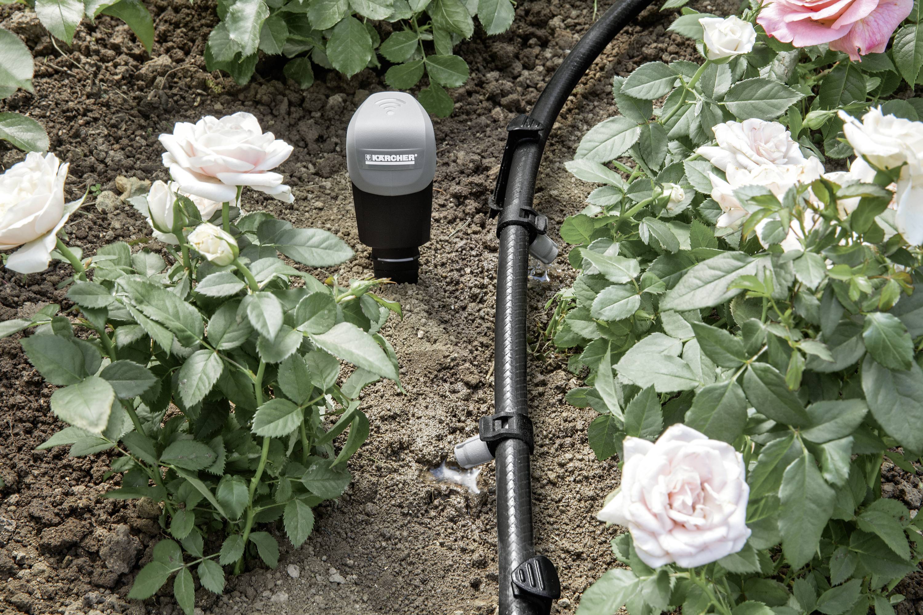 KÄRCHER Bodenfeuchtesensor 2.645-242.0-1