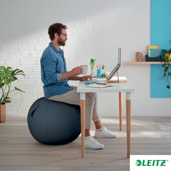 Sitzball,Sitz PVC,Sitz Stoff samtgrau-1