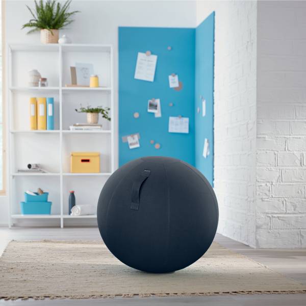 Sitzball,Sitz PVC,Sitz Stoff samtgrau-2