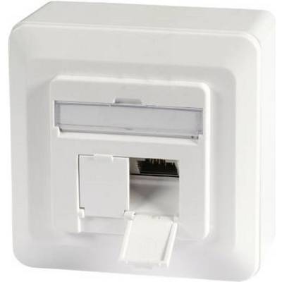 EFB Elektronik EFB-Elektronik - Anschlussdose, Unterputz - RJ-45 X 2 - RAL 9010-1