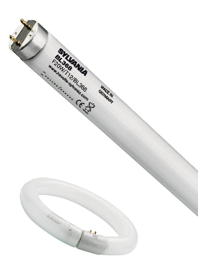Sylvania - 0000456 - FC22W T9 BL368 8"-0