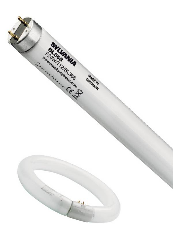 Sylvania - 0000456 - FC22W T9 BL368 8"