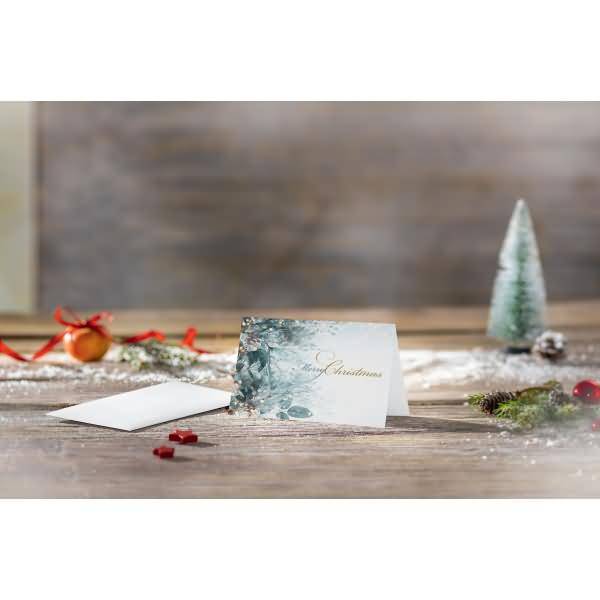 Weihnachtskarte A6 (A5) 250g 25+25 Stück Eucalyptus magic-1