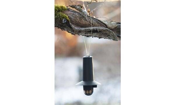 orthex Vogelfutterspender, schwarz-1