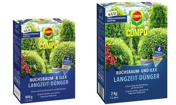 COMPO Buchsbaum- und Ilex Langzeit-Dünger, 2 kg-0