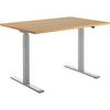 Schreibtisch elektrisch höhenverstellbar gerade BxT 1200 x 800 mm Buche/grau. Topstar GmbH 67846349