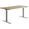 Schreibtisch elektrisch höhenverstellbar gerade BxT 1600 x 800 mm Ahorn/grau. Topstar GmbH 67846549