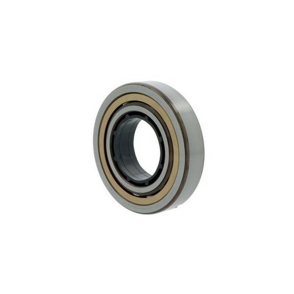 Vierpunktlager QJ232 -N2-MPA-C3 ID 160mm AD 290mm Breite48mm NKE