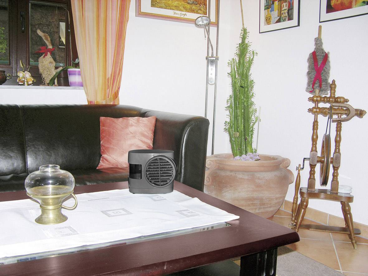 Ein Wohnzimmer mit Ledersofa, kleinem Tisch mit Vase, Heizgerät und dekorativen Elementen. Pflanzen und Kunst an den Wänden.