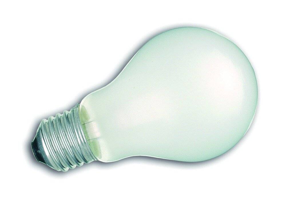 Scharnberger+Hasenbein Glühlampe B60x105mm 40618-1