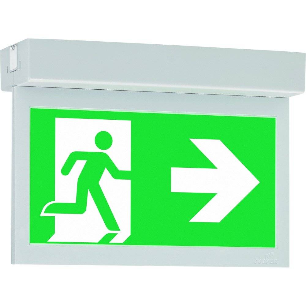 Ceag Notlichtsysteme LED-Einzelbatterie-Leuchte 1-1