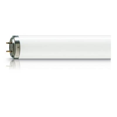 Actinic BL TL-DK 36W/10 G13 UV-A Leuchtstofflampe-0