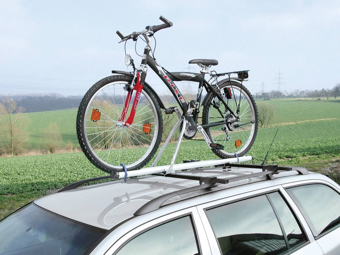 Fahrrad auf einem Autodachträger, im Hintergrund grüne Felder und ein bewölkter Himmel.