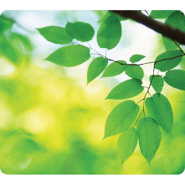 Fellowes Recycled Mouse Pad Leaves - Mauspad-3