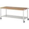 Fahrbare Werkbank Serie 8000 Gestellbauweise 1 Ablageboden BxT 2000 x 900 mm. TAKKT Industrial & Packaging